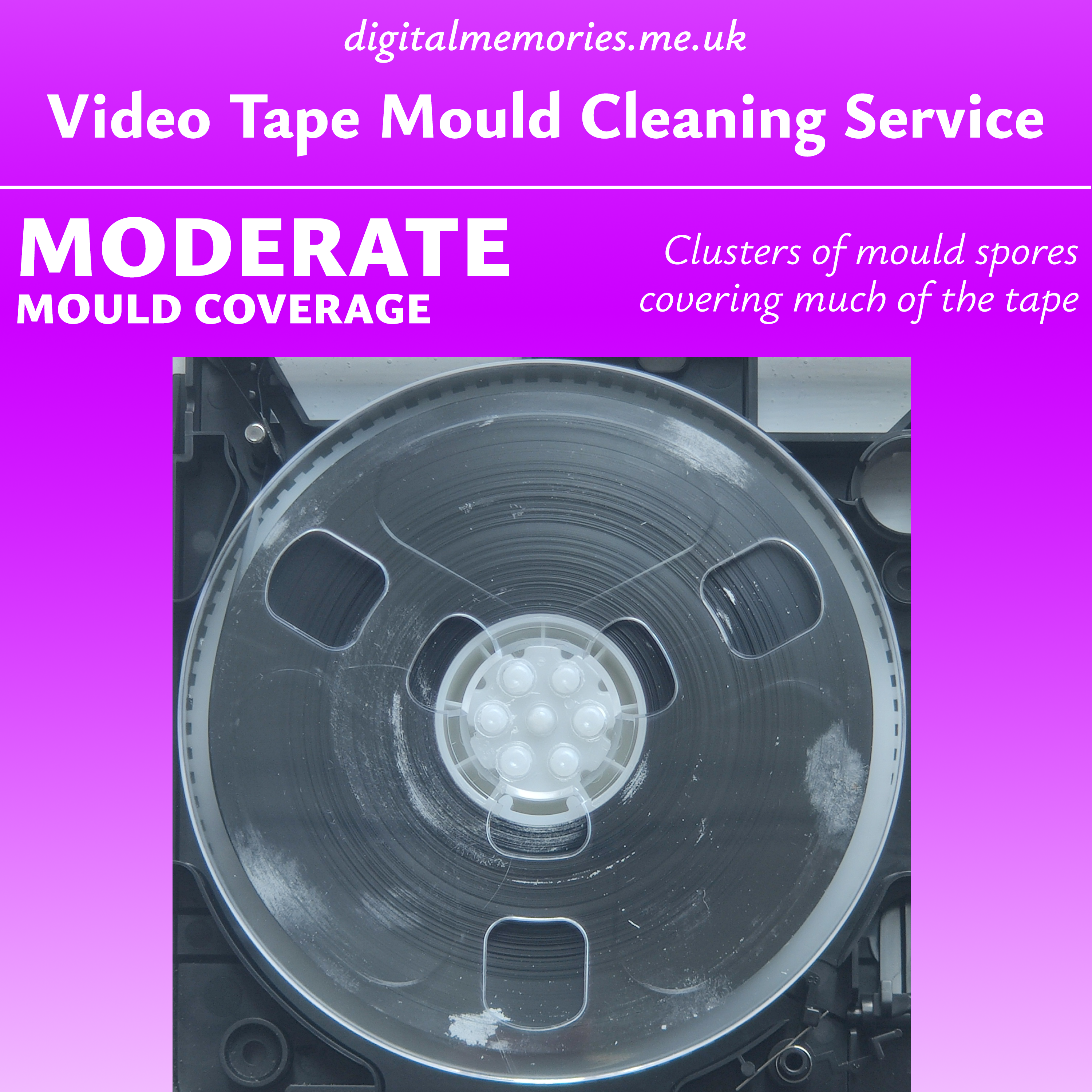 moderate mould coverage: clusters of mould spores covering much of the tape